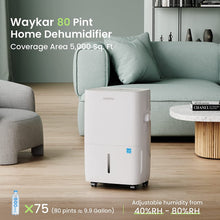 Waykar 80-120 Pint ENERGY STAR Home Dehumidifier with Drain Hose and 1.14 Gal Water Tank