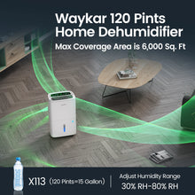 Waykar YDZ Star Energy Star Dehumidifiers with Drain Hose, Handle, Auto Defrost and Self Drying Features