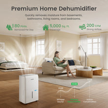Waykar CTH Super Star ENERGY STAR Efficient Dehumidifier - Available in 80, 120, and 150 Pints