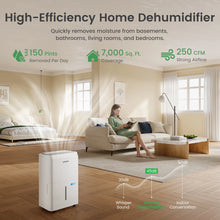 Waykar CTH Super Star ENERGY STAR Efficient Dehumidifier - Available in 80, 120, and 150 Pints