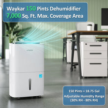 Waykar YDZ Star Energy Star Dehumidifiers with Drain Hose, Handle, Auto Defrost and Self Drying Features