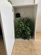 Magic Herb Dryer 4.0 - 30 Plant Drying Box