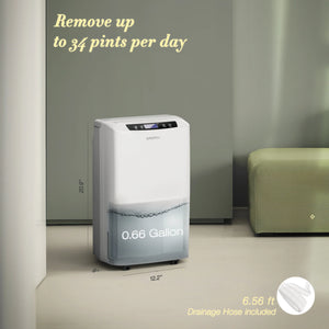 Waykar PD160B 2000 Sq. Ft Dehumidifier for Home and Basements, 0.6 Gal Water Tank Included