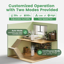 Waykar YDZ Star Energy Star Dehumidifiers with Drain Hose, Handle, Auto Defrost and Self Drying Features