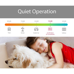 LG 24,000 BTU Heat/Cool Window Air Conditioner, R32