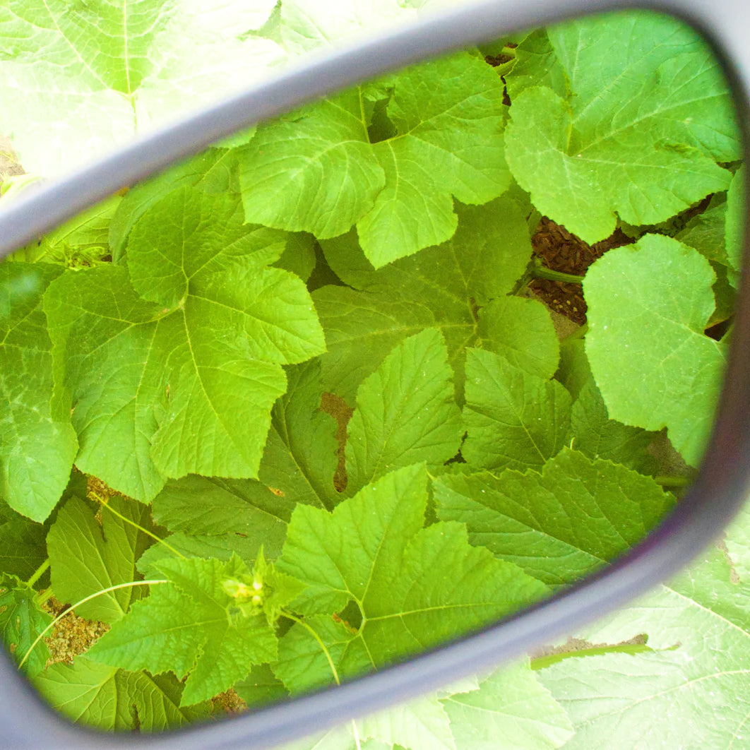 Method Seven Glasses AVIATOR FX CLIP ON (AR/IR)