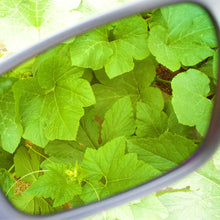 Method Seven AGENT 939 FX Glasses  (AR/IR)