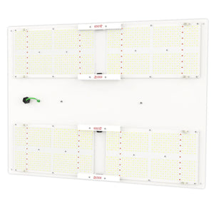 Horticulture Lighting Group HLG 650R LED Grow Light