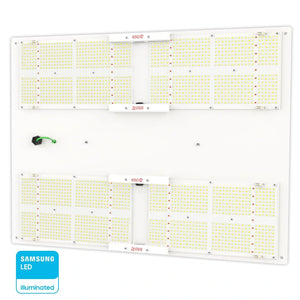 Horticulture Lighting Group HLG 650R LED Grow Light