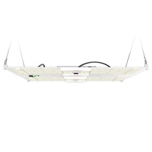 Horticulture Lighting Group HLG 650R LED Grow Light