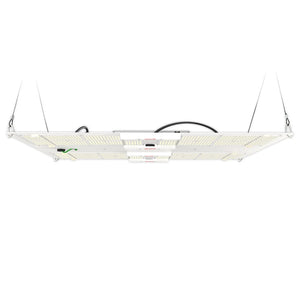 Horticulture Lighting Group HLG 650R LED Grow Light