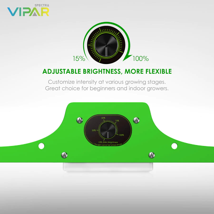 P600_900x_30a3610f-504d-4150- P600_900x_30a3610f-504d-4150-