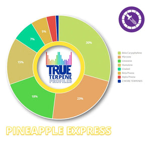 True Terpenes Pineapple Express Profile