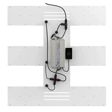 Horticulture Lighting Group HLG Scorpion Diablo 650w Commercial LED